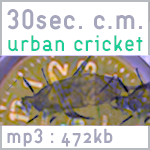Urban Cricket image